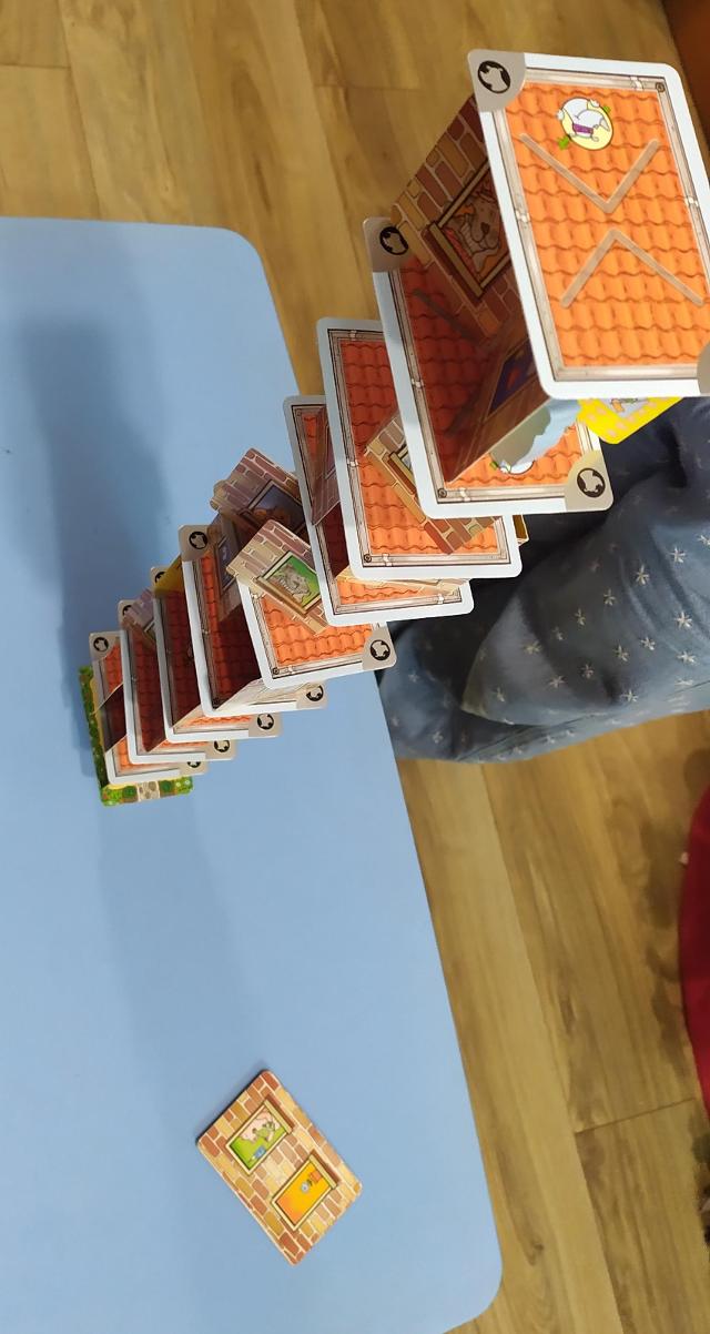 Rhino Hero on the table, photo by Daniel