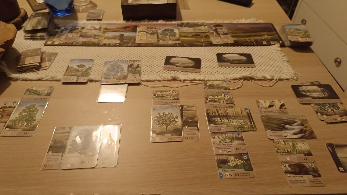Masada Forest Shuffle: Dartmoor, fotoğraf: Alessia Celadin