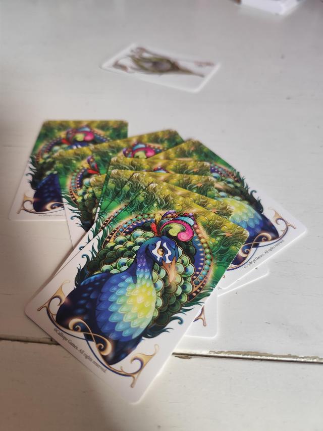 Enchanted Plumes auf dem Tisch, Foto von Fran M