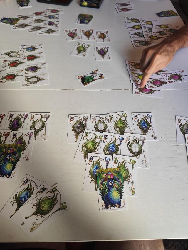 Enchanted Plumes auf dem Tisch, Foto von Fran M