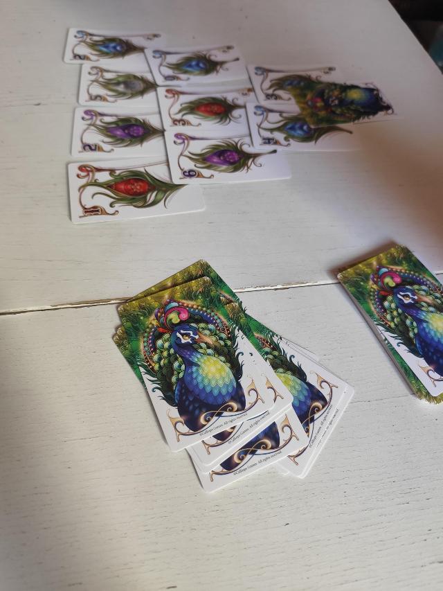 Enchanted Plumes auf dem Tisch, Foto von Fran M