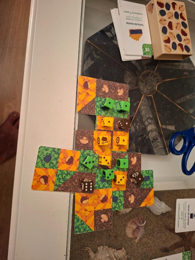 Forage: A 9 card solitaire game on the table, photo by Artur Rodríguez Coma