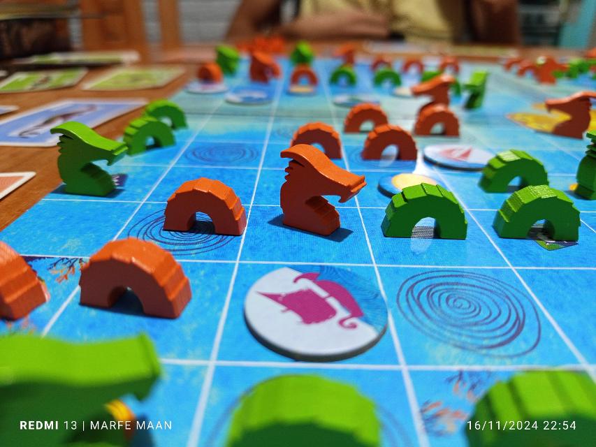 Sea Dragons on the table, photo by MarFe MaAn