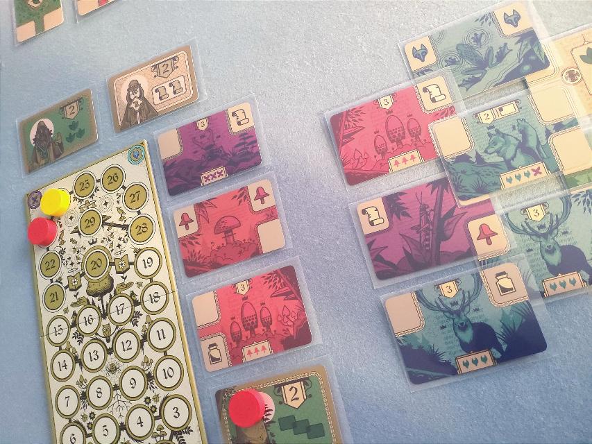 Codex Naturalis na stole, zdjęcie: Cris