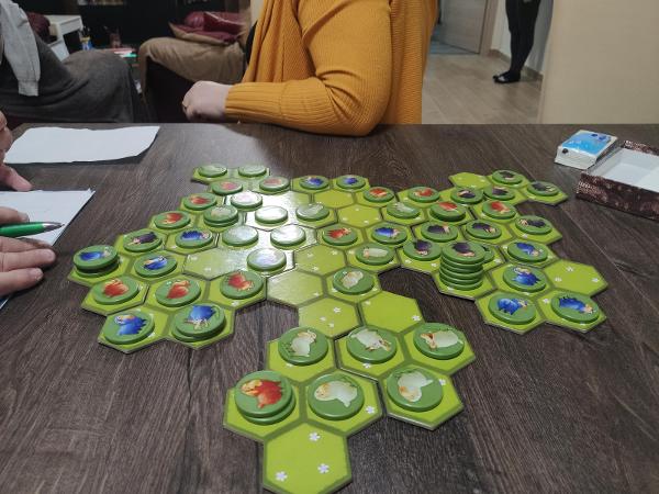 Battle Sheep on the table, photo by tienlevy