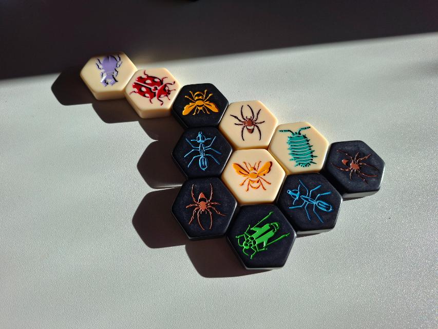テーブル上のHive(写真:Artur Rodríguez Coma)