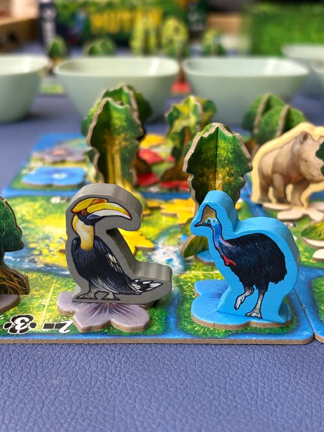 桌上的Hutan: Life in the Rainforest,照片来自 Grouchina