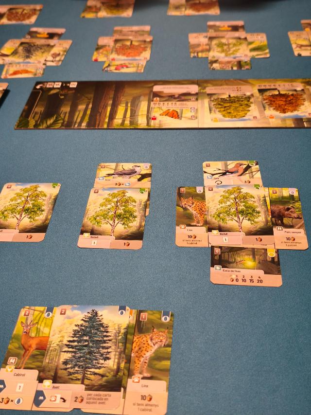 Masada Forest Shuffle, fotoğraf: Ricard Clupés