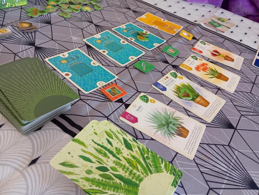 Verdant on the table, photo by Estepo Estepoes