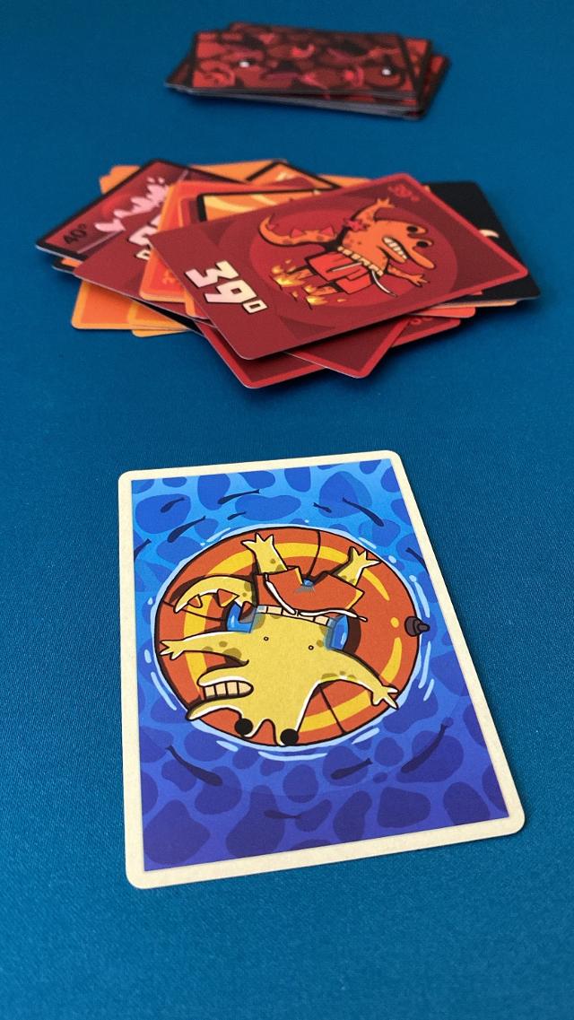 테이블 위의 Splash!, 사진: Grouchina