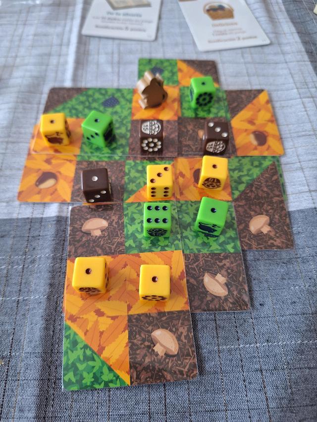 Forage: A 9 card solitaire game on the table, photo by Artur Rodríguez Coma