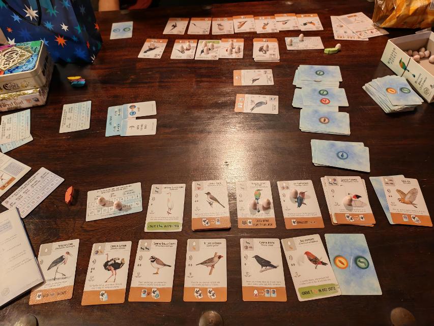 Wingspan Pocket على الطاولة، صورة من Susi Bauer