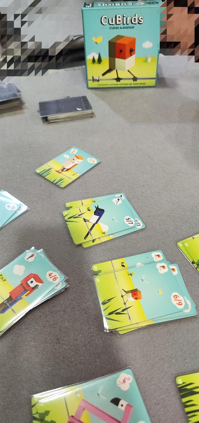 桌上的CuBirds，照片来自 Iker Arbizu Azurmendi