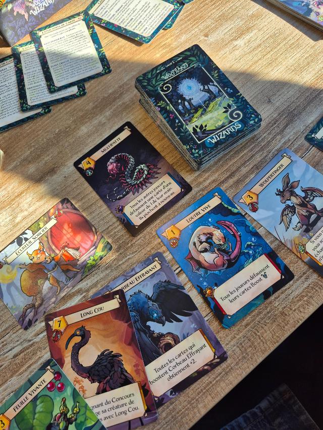 Woodland Wizards on the table, photo by Sweetnesspanda