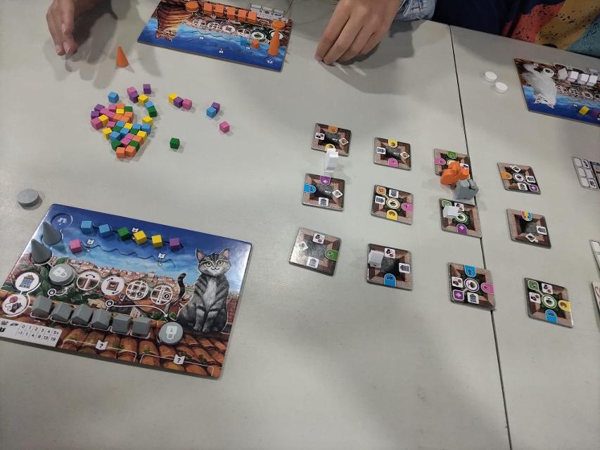 Cathood sobre la mesa, foto de Amy