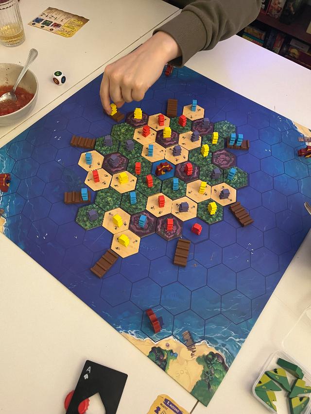 Survive The Island on the table, photo by rox
