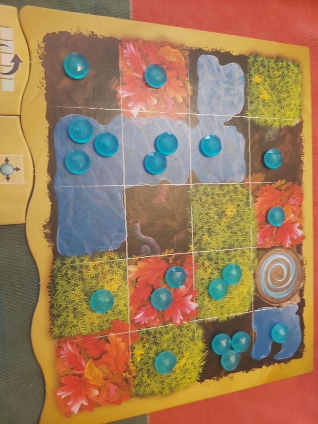 Mycelia on the table, photo by Laia