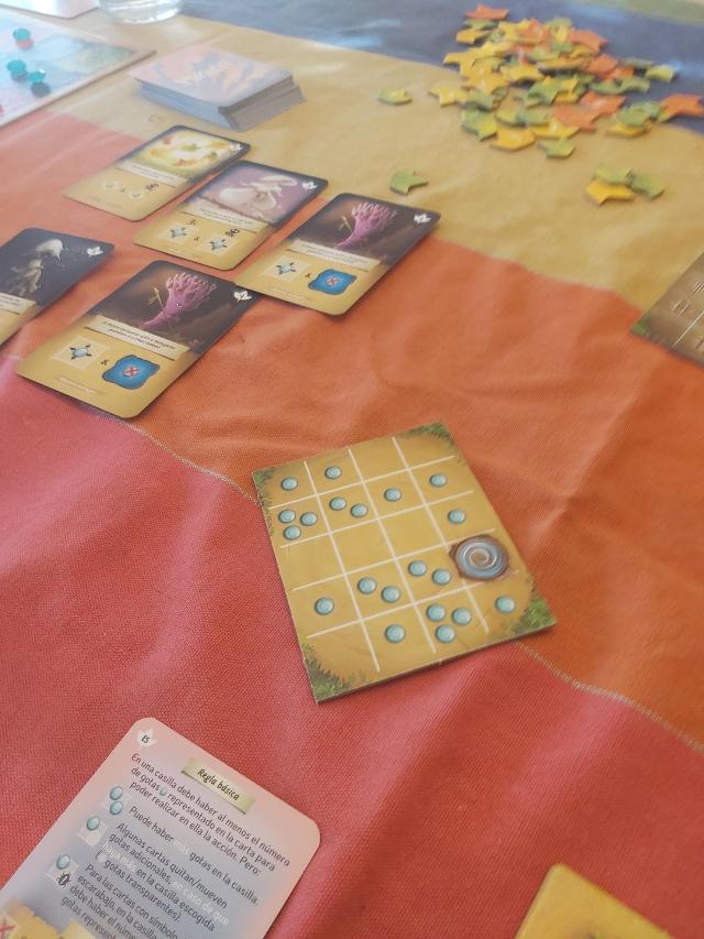 Mycelia on the table, photo by Laia