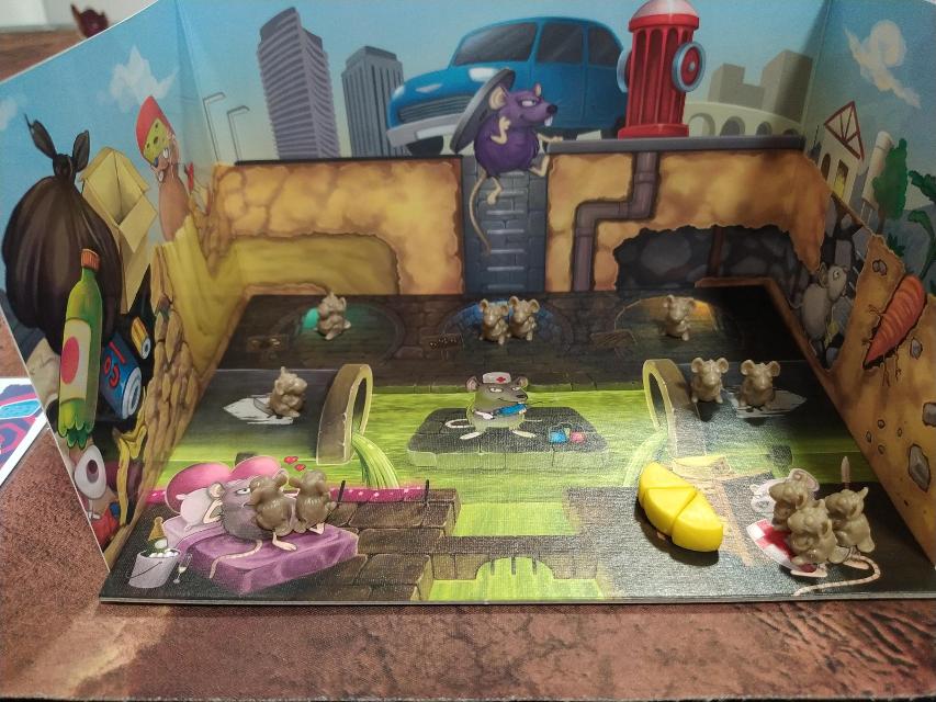 Ratland on the table, photo by David Puyalto
